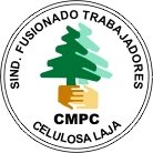 sindcelulosalaja.cl